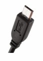 194385675e2aeece8cc991d21a77fea4