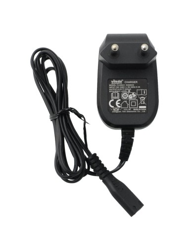 vileda 6v 300ma yls0041-e060030 1.JPG