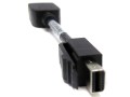 Adapter Display Port Mini(M) do Display Port(F) 3.jpg