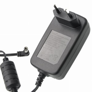 CSEC 12V 2A