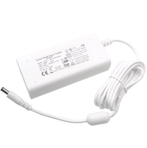 Braun 24V 2.5A