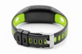 go-tcha evolve green 2.jpg
