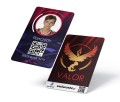 pokemon go id card valor.jpg