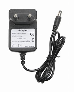 Baofeng 10V 500mA