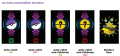 Go-tcha Generation 4.png